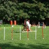 agility 2011-08